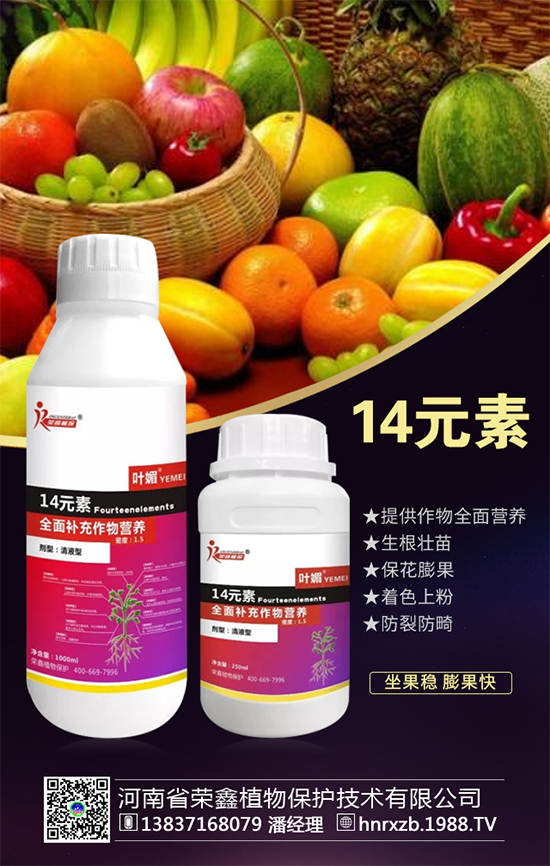 芹菜軟腐病有什么危害?芹菜軟腐病怎么防治好?