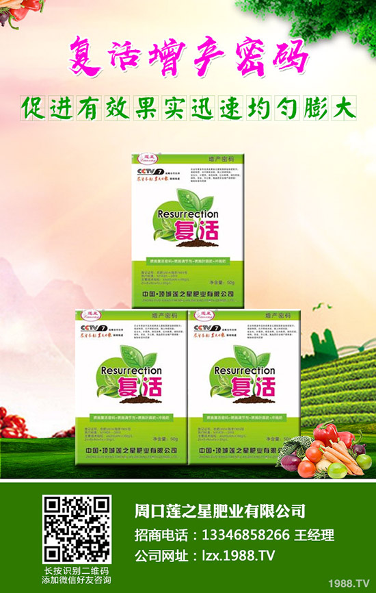 �n�����ʩ�����n����ʲô���Ϻ���