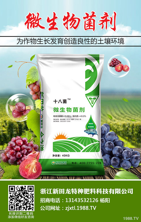 �Ϲ����Ҏ(gu��)�����Ϲϵ�ʩ�ʷ���