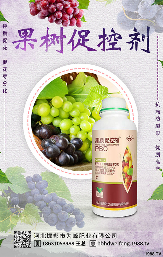 �t�����缼�g(sh��)