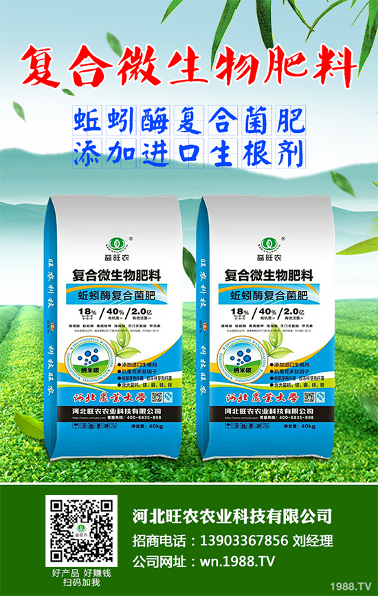 洋桔梗該如何種植?洋桔梗栽培種植技術(shù)