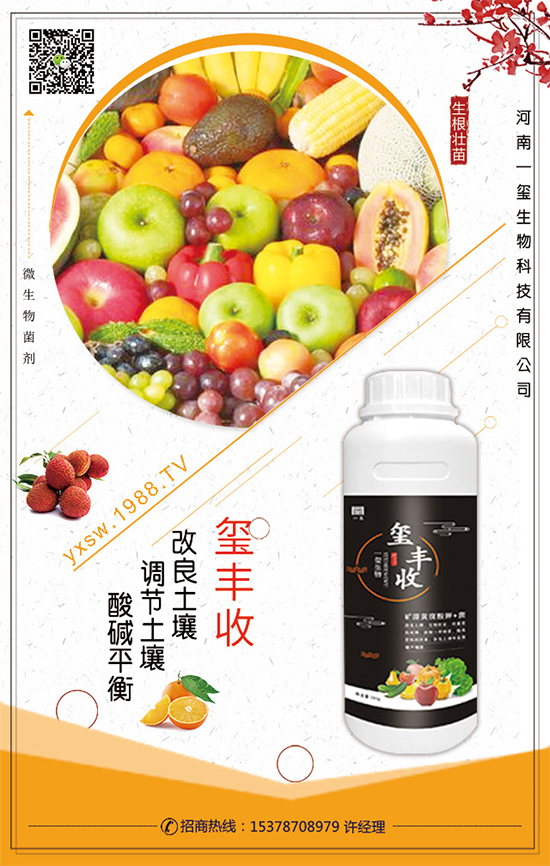 ��������ô�Nֲ��������Nֲ���g��