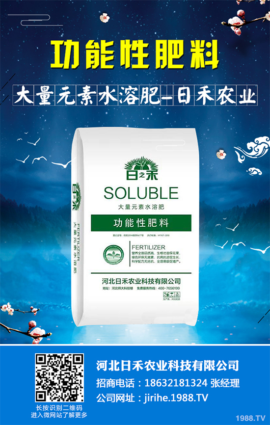 射干該怎么種植?中藥材射干的種植技術(shù)要點