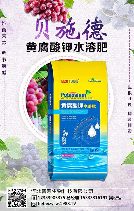 ���ϵ��������������ϲ��NҪ�c(di��n)���Nֲ�ܶ���