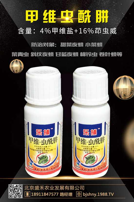 С���t֩��İl(f��)��Ҏ(gu��)������Щ��С���t֩����δ�ʩ��