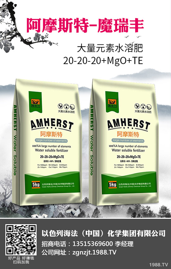 2020年春玉米什么時間播種?春玉米種植技術