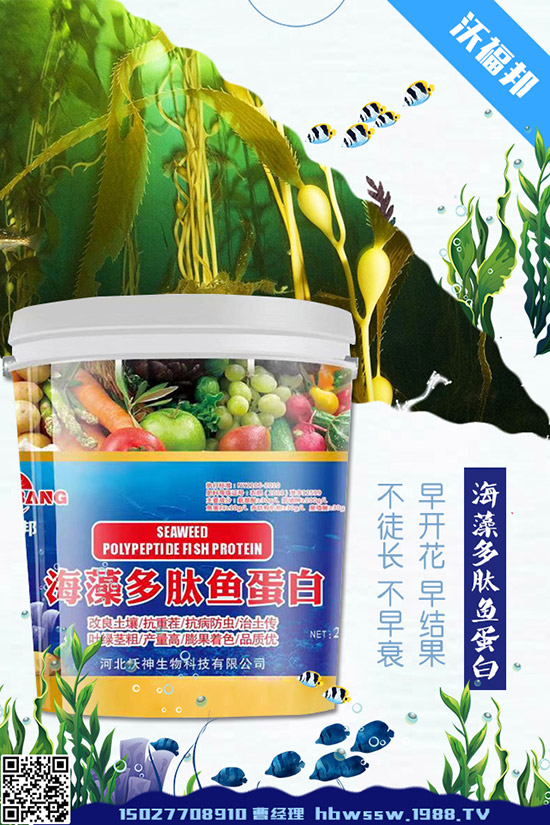     ���ӷNֲ��Ҫע����Щ���}�����ӵ�ˮ�ʹ���Ҫ�c��