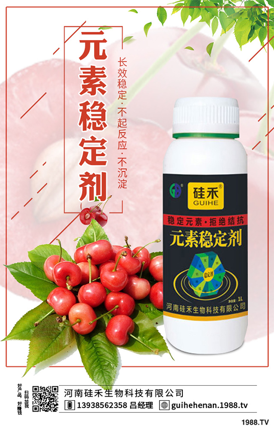 ��ˎԓ��ô�Nֲ����ˎ�Nֲ�İ˴��E�����������