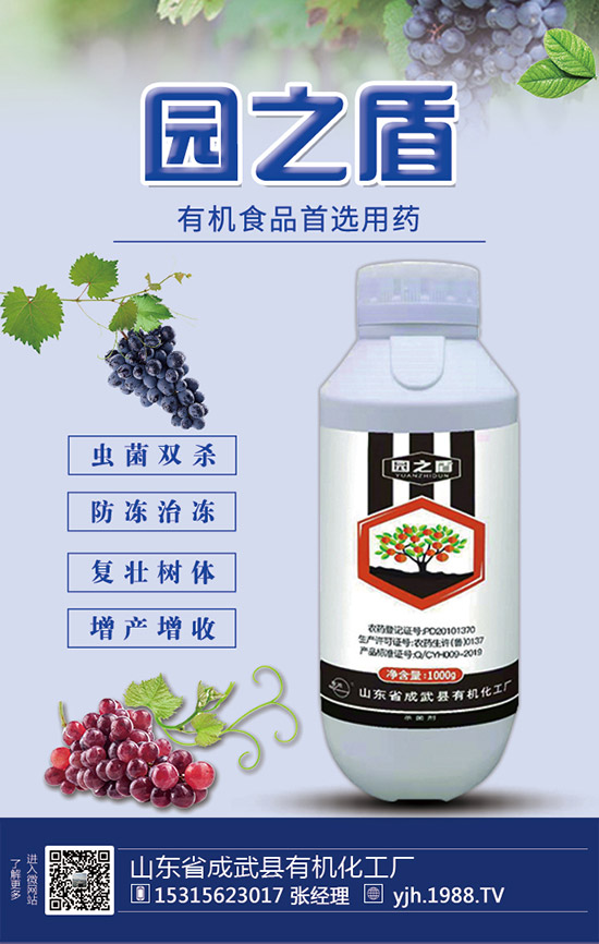 �����������������ʩ�ʼ��g(sh��)��Ҫ�c(di��n)��