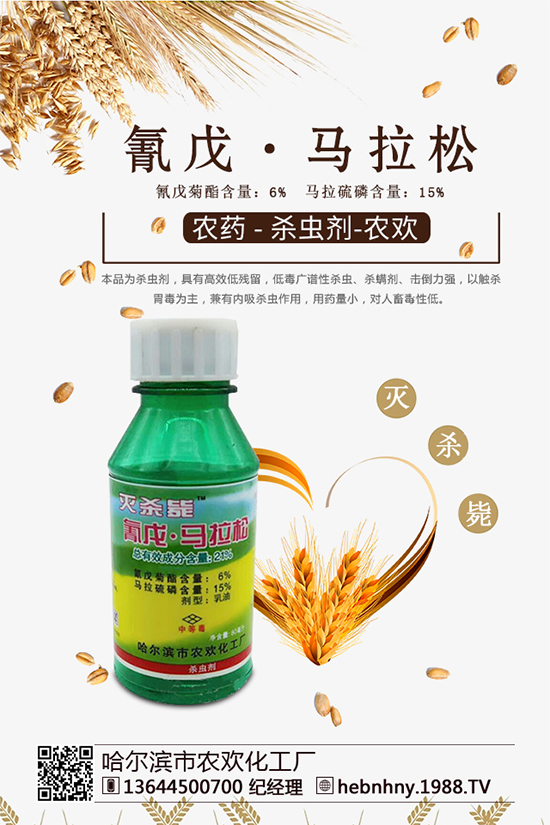 �x���߷��ڡ������xຸ�Ч���x�����Դ������