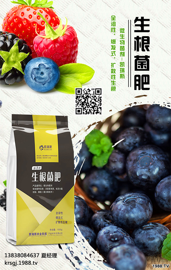 油茶屬茶科,常綠小喬木。茶油色清味香,營養(yǎng)豐富,耐貯藏,是優(yōu)質(zhì)食用油 ;也可作為潤滑油、防銹油用于工業(yè)。近年來我國各地油茶產(chǎn)區(qū)政府紛紛鼓勵種植油茶。那么,油茶種植到底有哪些優(yōu)勢呢?