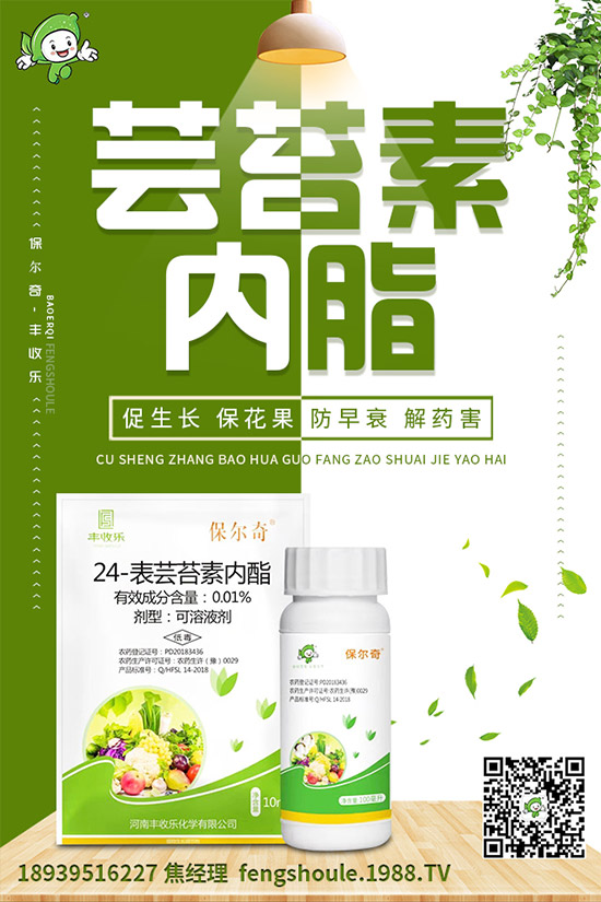 �������ô�޽ӣ���ϼ޽Ӹ߮a(ch��n)�Nֲ���g(sh��)��