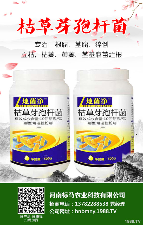 �����ôʩ�������ʩ��Ҫ�c����Щ��