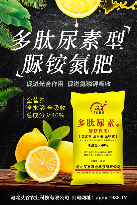 四季豆種植要點,四季豆育苗技術(shù)及苗期管理