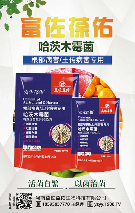 ���^����ʲô�I�B(y��ng)�rֵ�������^��ʲô��̎��