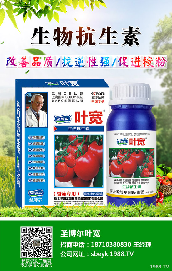 ���ﱡƤ���ԓ�����������Ƥ��ϸ߮a���༼�g