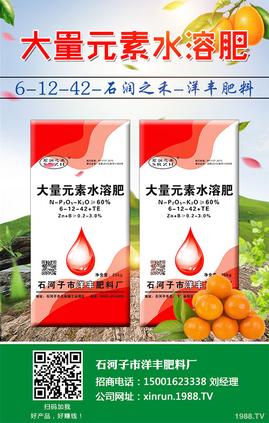 黃瓜嫁接好在哪里?有何優(yōu)勢?黃瓜嫁接的流程及注意事項(xiàng)