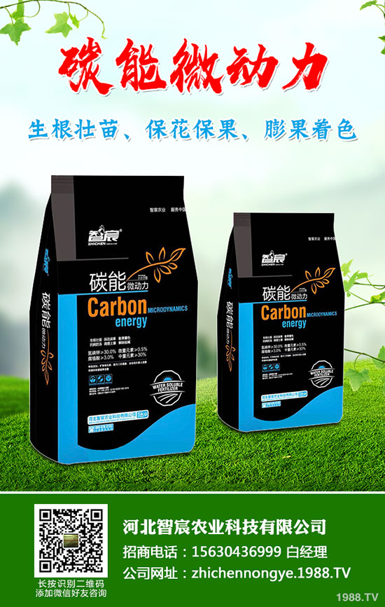 5��(gu��)��(n��i)�׷��Ј�(ch��ng)��ȥ�Ώ�������һ�@���@�r(ji��)�������߄�(sh��)�A(y��)�y(c��)��