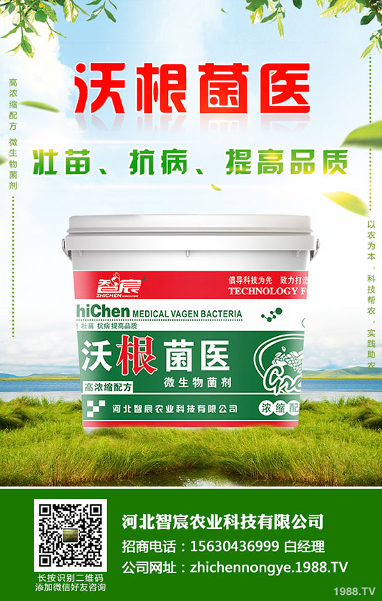 ⛷ʃr(ji��)�����wƫ���\(y��n)��������⛷��������2020-5-15��