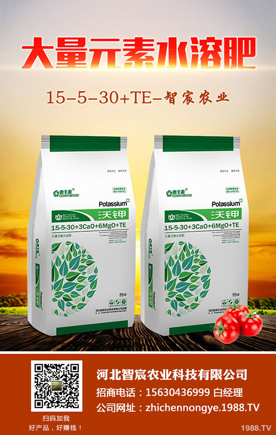 ����F��ô�B(y��ng)������F���B(y��ng)ֳ������ע�����