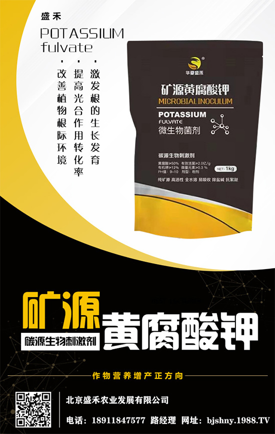     ����⛷�(w��n)���\(y��n)����2020.05.16⛷ʃr(ji��)�������߄�(sh��)������