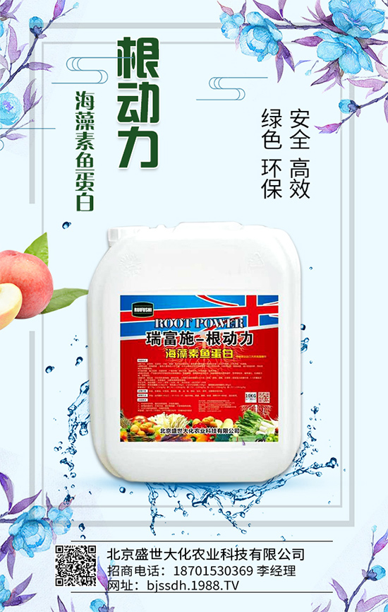     �׷ʃr���λ�\����2020-05-16����һ�@���@�r���߄ݷ�����