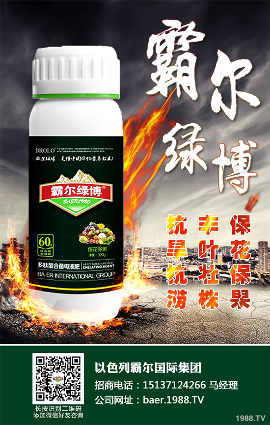 ������ʲô�r�򲥷N��2020���������粥�����ă�(y��u)ȱ�c����