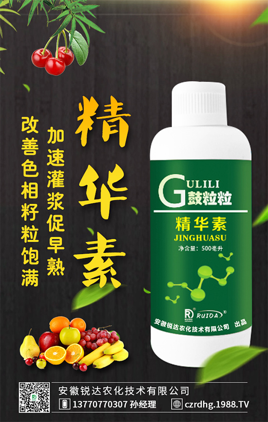 紅心火龍果和白心火龍果哪個(gè)好?區(qū)別有哪些?營養(yǎng)誰更高?