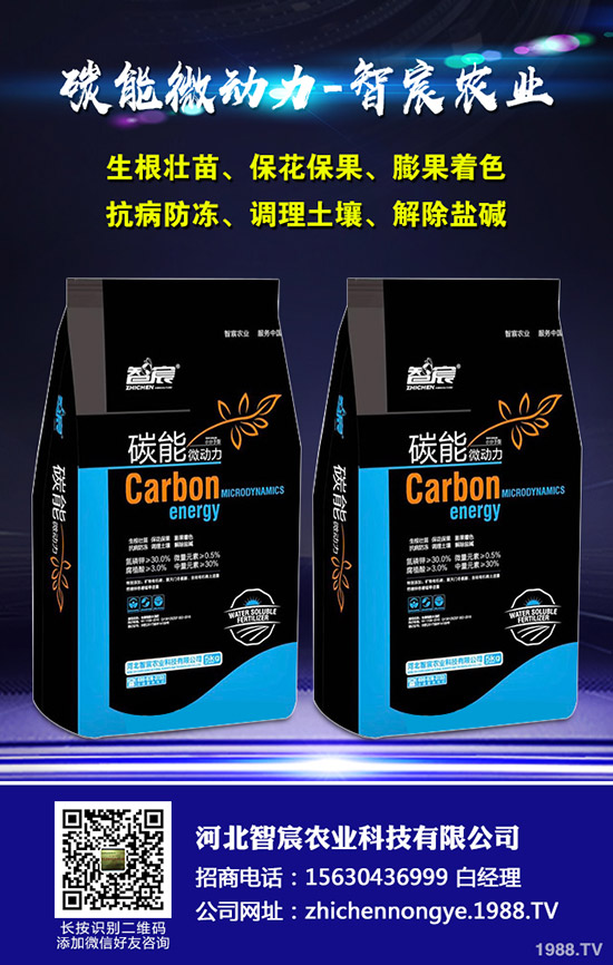 ���ϵ�������ԣ�����ʩ���Ľ�����