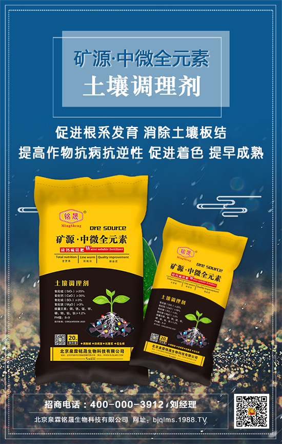 ��֥��ʲô�r�g�Nֲ����֥�����༼�gҪ�c��