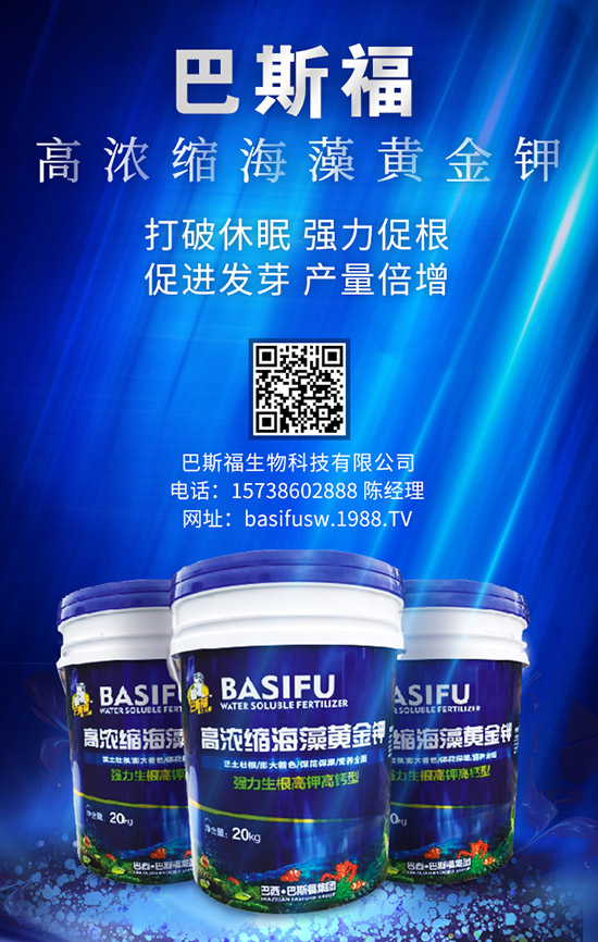 ����ʩ�ʵĸ��ѕr(sh��)�g��ɶ�r(sh��)���� զ��ʩЧ������