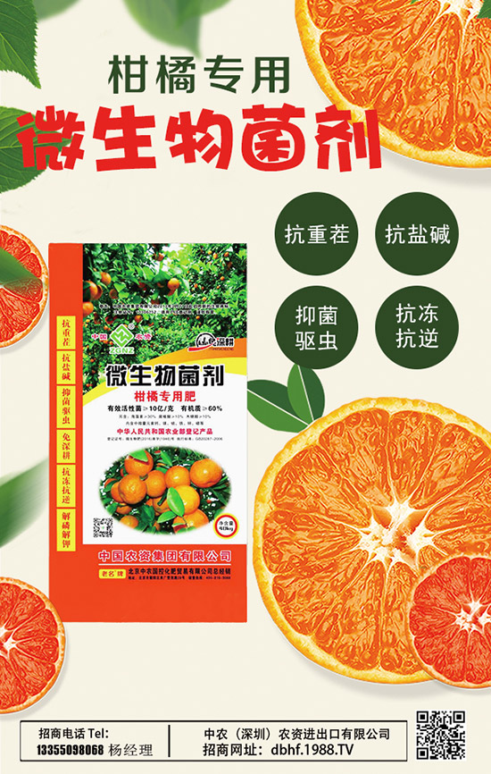 2020山藥價格多少錢一斤?種植前景如何?山藥種植高產(chǎn)管理技術!