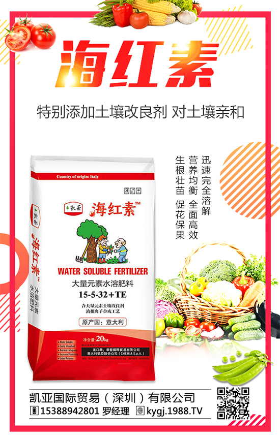 金錢(qián)草的產(chǎn)地分布在哪?金錢(qián)草種植注意事項(xiàng)!