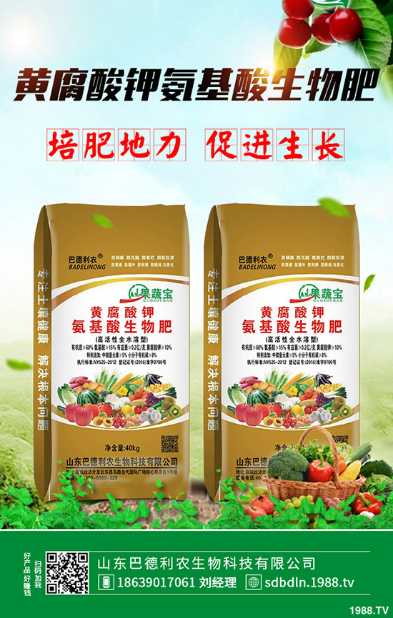 玉木耳和黑木耳區(qū)別有哪些?兩者哪個營養(yǎng)價值更高?功效有哪些?