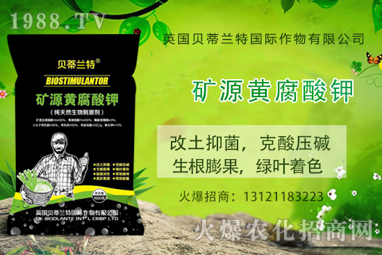 ���ܹ���ô�N�����ܹϷNֲ��(y��ng)ԓע����Щ���(xi��ng)��