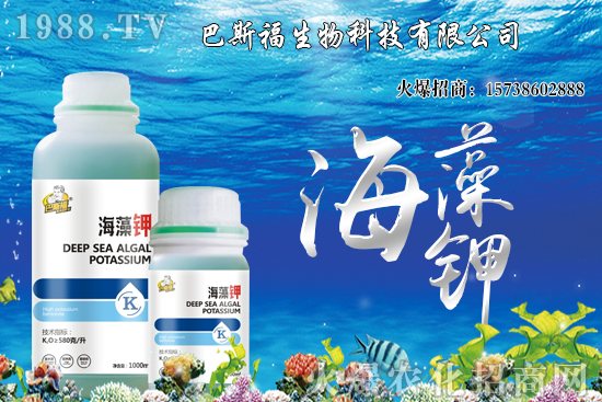 ���؃r(ji��)��