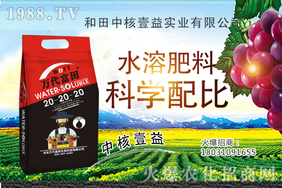 荔枝什么時間種植,荔枝種植技術(shù)要點(diǎn),荔枝品種要怎么選?