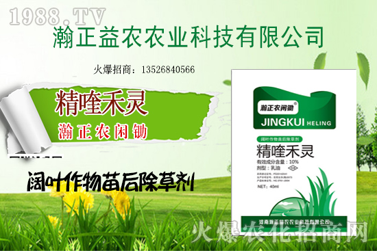 ΢�����r(n��ng)ˎ����������(zh��n)���C(j��)�����³ɹ�