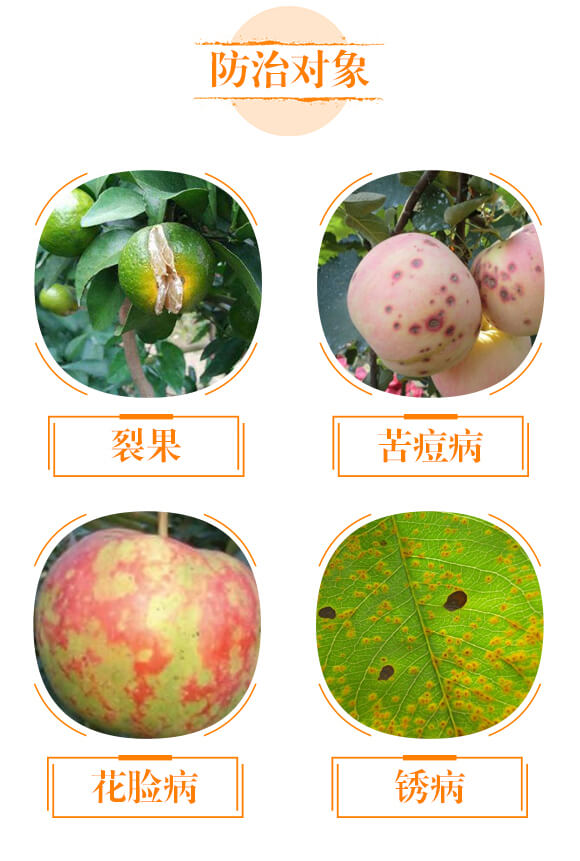 土壤調理劑-鈣硅鎂-秾貝爾_04