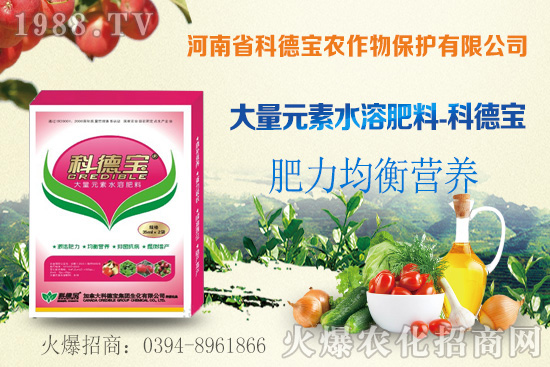 ��֦ʲô�r�g��������֦���A�\��������Щ��