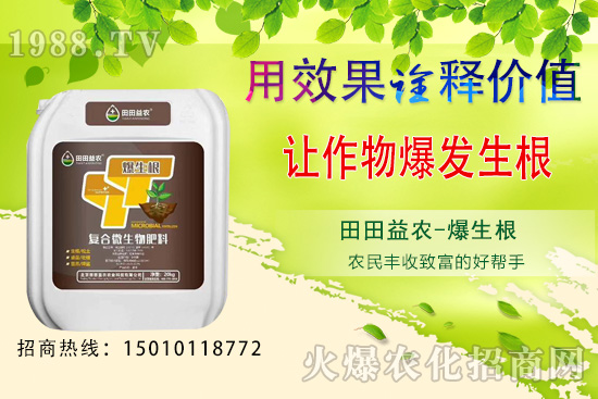 六月可以種植的蔬菜有哪些?六月種蔬菜管理要點(diǎn)!