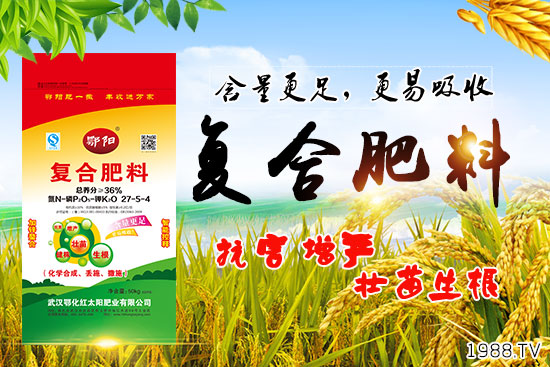 Ѫ������Щ�I�B(y��ng)�r(ji��)ֵ����Ѫ����ʲô��̎��