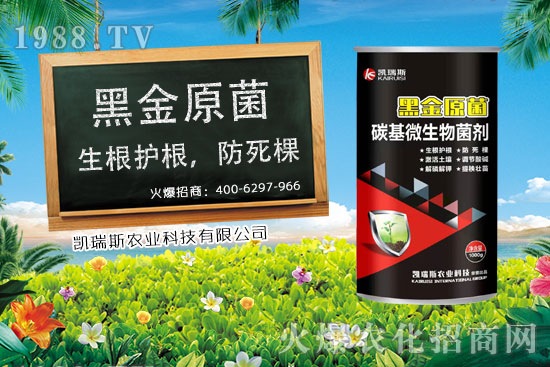 玉米什么時(shí)候成熟,玉米的收獲時(shí)期,玉米的營(yíng)養(yǎng)價(jià)值!