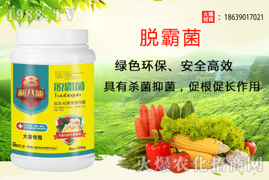 �����Nֲ�xʲôƷ�N�������Nֲǰ��������Ʒ�N���]��