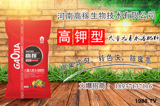 小香蔥種植環(huán)境有什么要求?夏季種植小香蔥的技巧!