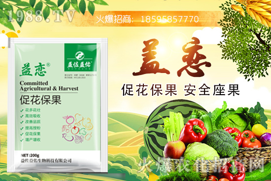 ��֦�ĠI(y��ng)�B(y��ng)�ɷ�����Щ����֦�ܶ�Ԇ��������m����Ⱥ��