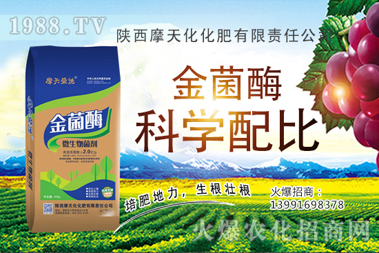 �Nһ���O���ĳɱ��Ƕ������ж����������O���Nֲ���g(sh��)�c������