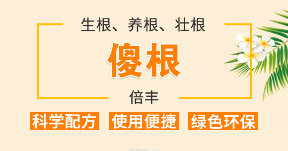 ɵ��-���S_01