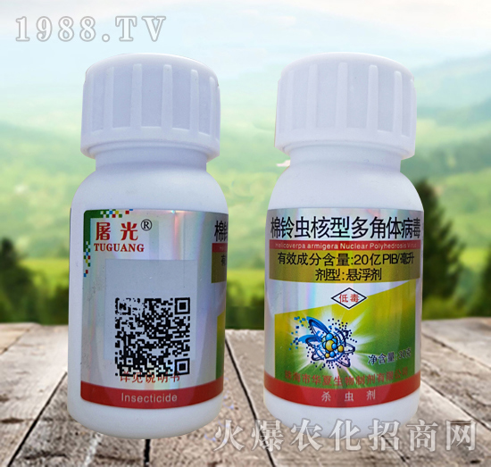 ����x���Ͷ���w������ʲô�x��Ч����ô�ӣ���ô�x����