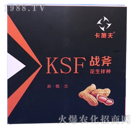 ������N����Щ��̎��������N��ʲô��N����